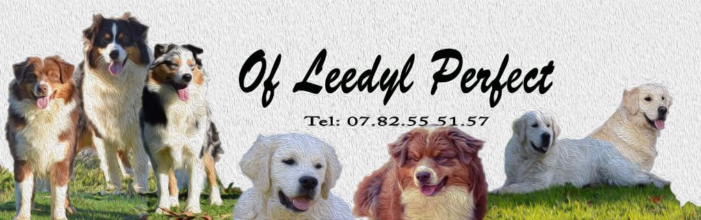 of leedyl - Contact :  0782555157