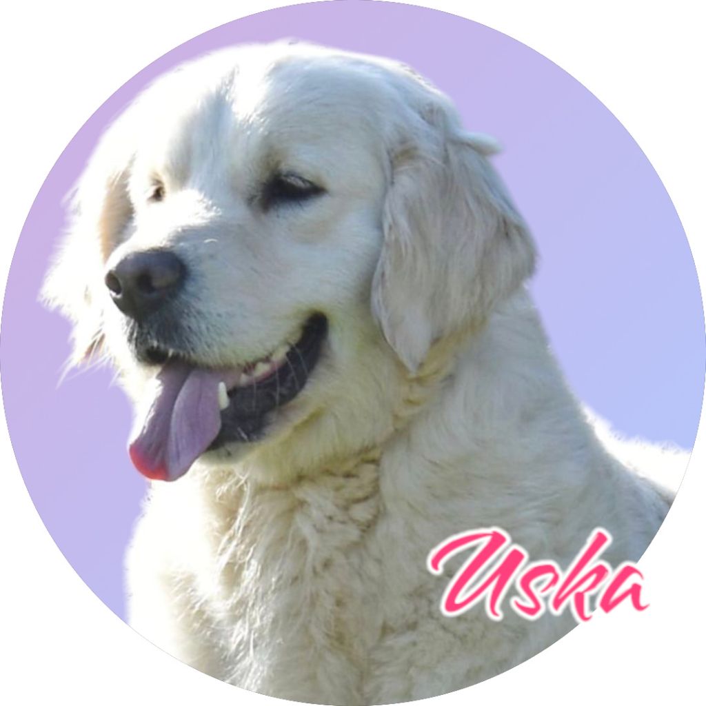 Uska of leedyl