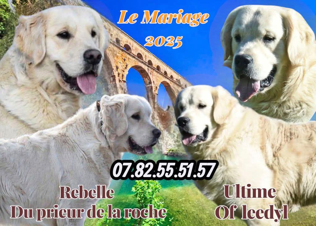 Nouvelle portée 