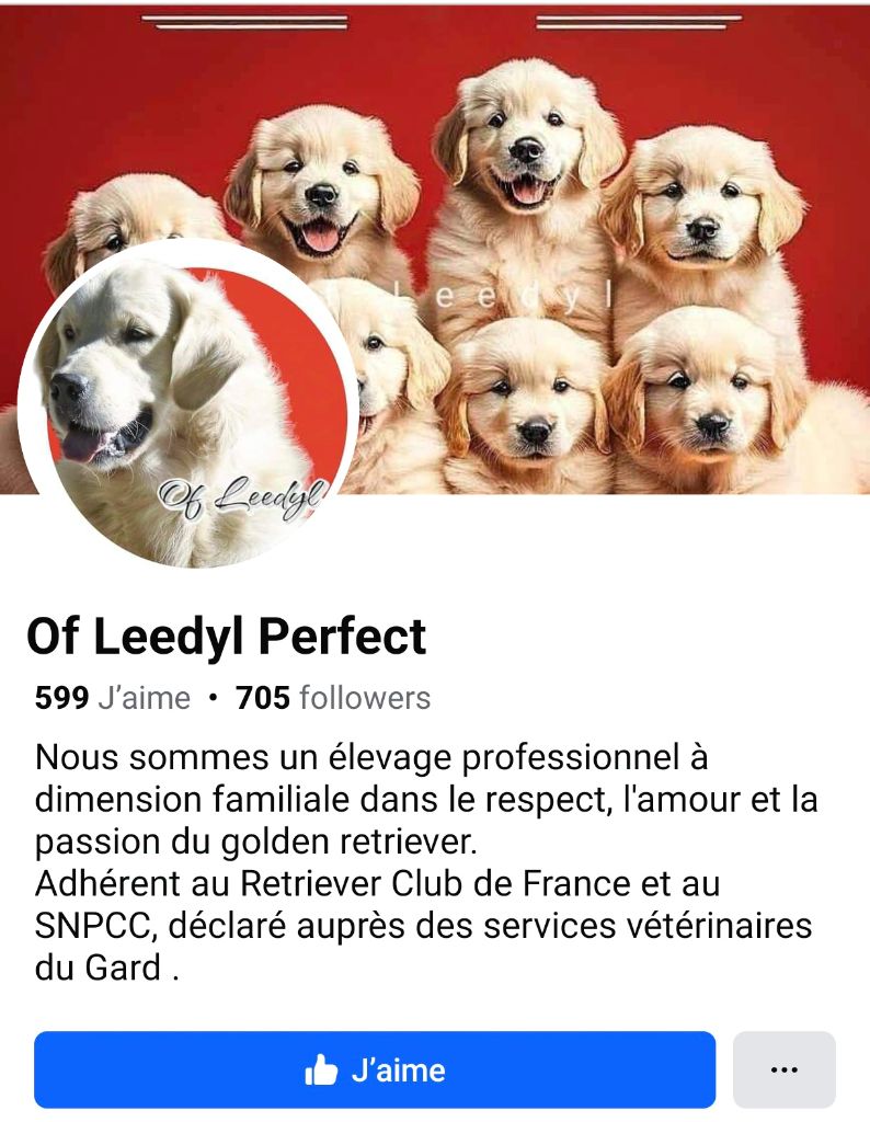 of leedyl - Suivez-nous sur Facebook !