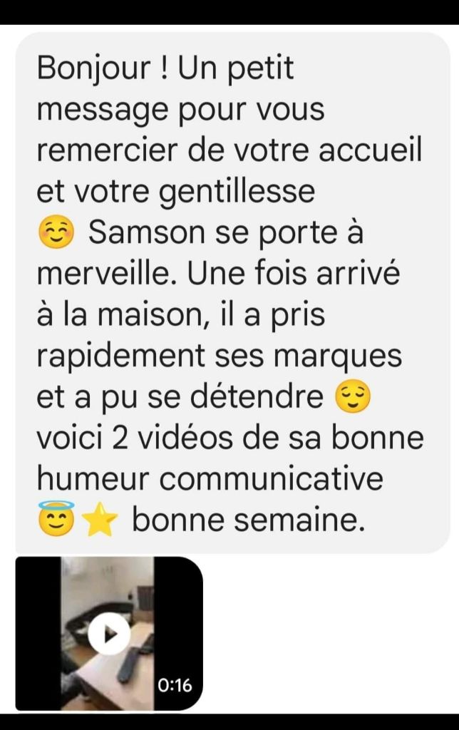 Les bébés dans leurs familles III