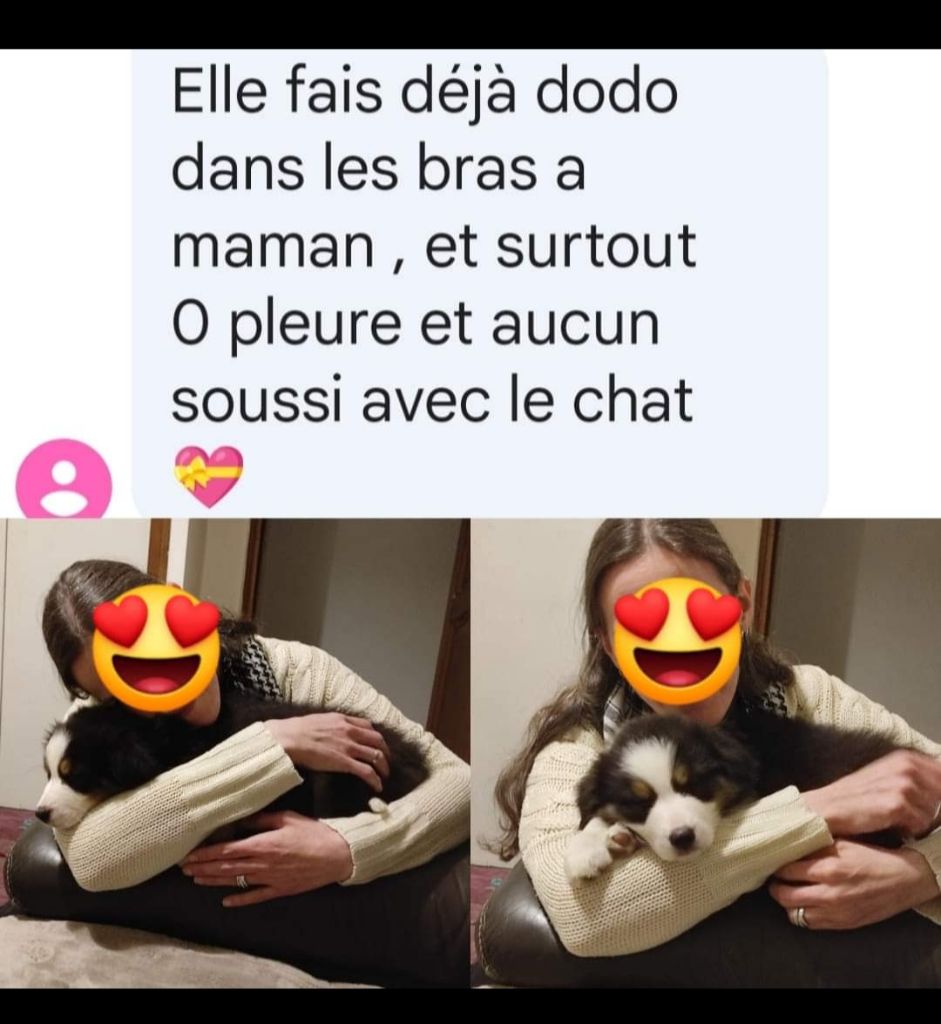 Les bébés dans leurs familles II