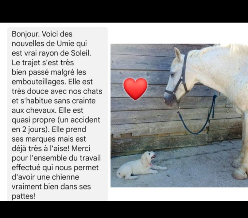 Les bébés dans leurs familles