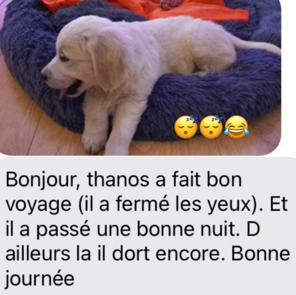 Les bébés dans leurs familles III